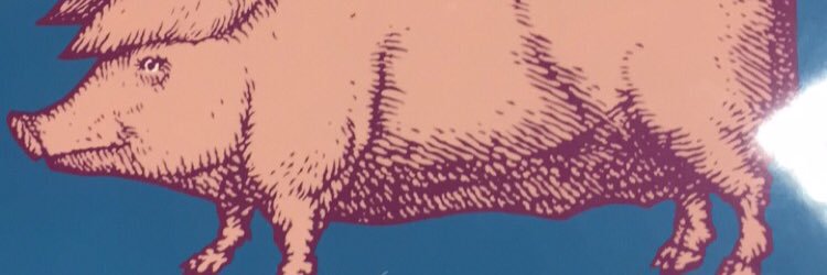 lemamurphy's profile banner image