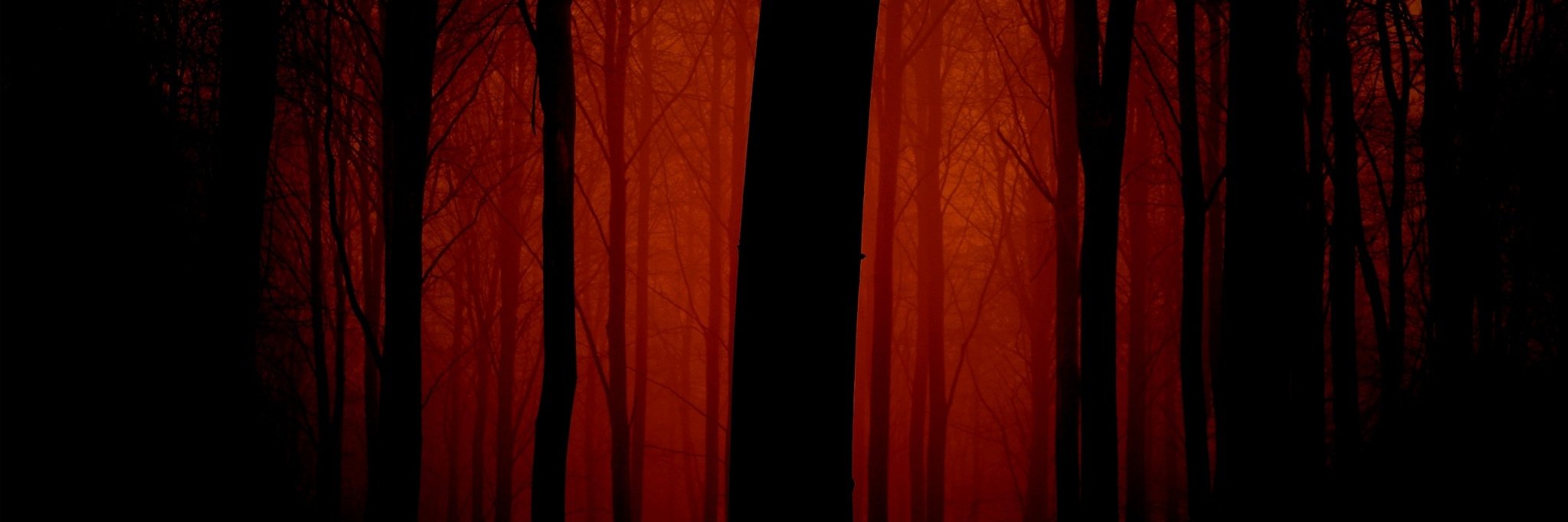 evilsilenz's profile banner image