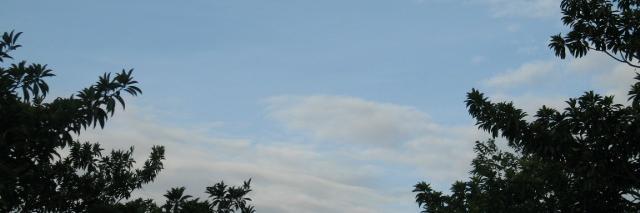 pradeep_patel's profile banner image