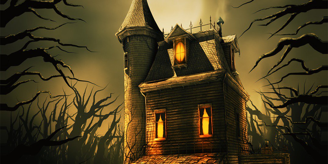 tl_stoltz's profile banner image