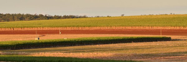 sugarresearch Profile Banner