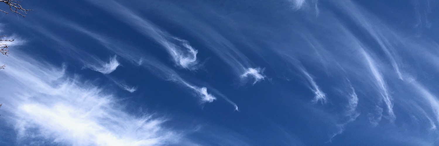 Dr. Maria Lane banner