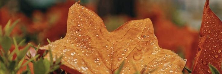 godoyr26's profile banner image