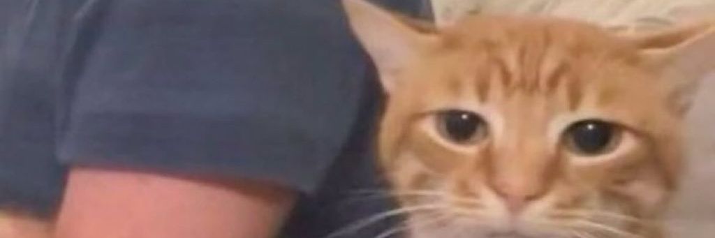 trxnce97's profile banner image