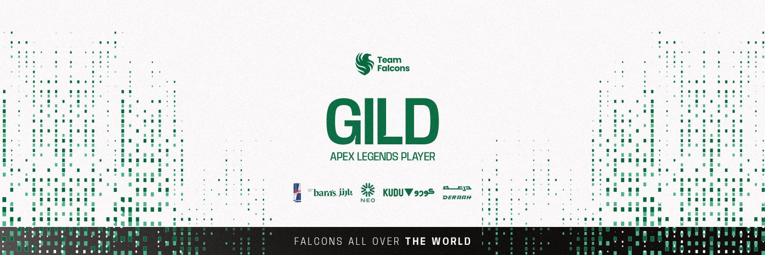 Falcons Gild banner