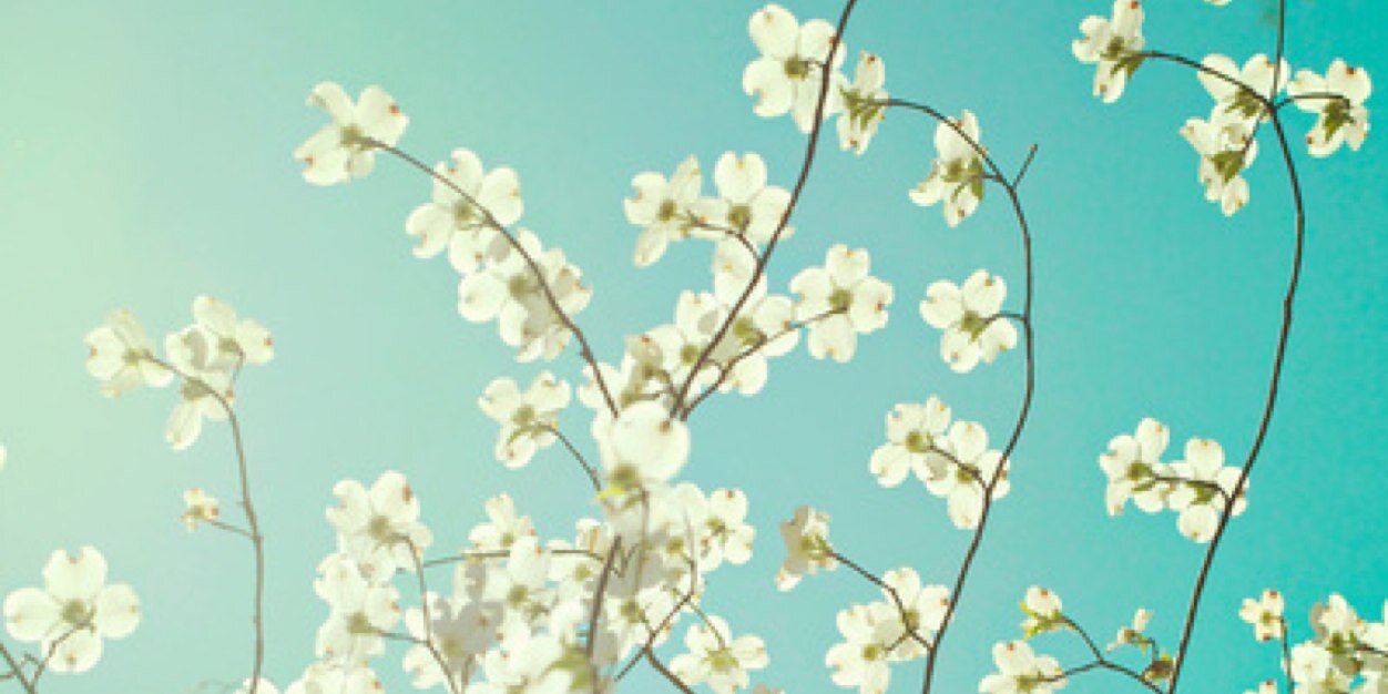 KendraRourke's profile banner image