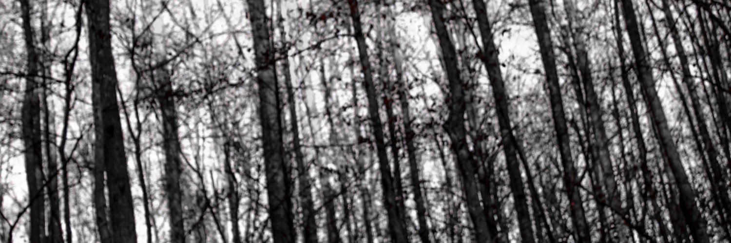 liciaSayWhaa's profile banner image