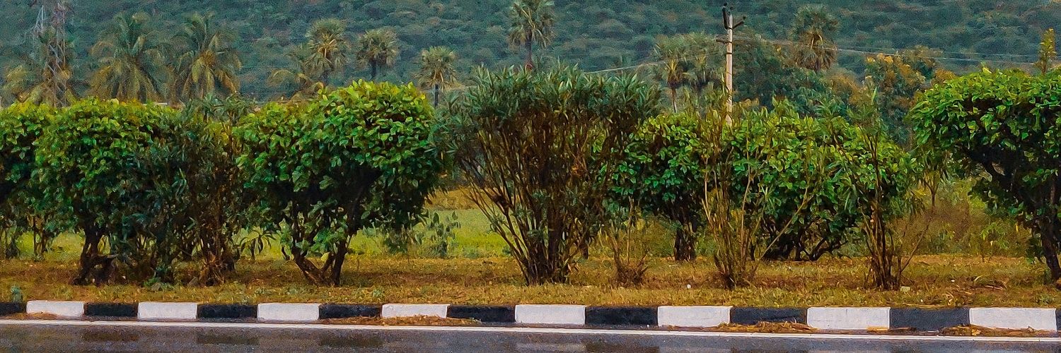 AniketKumar31's profile banner image