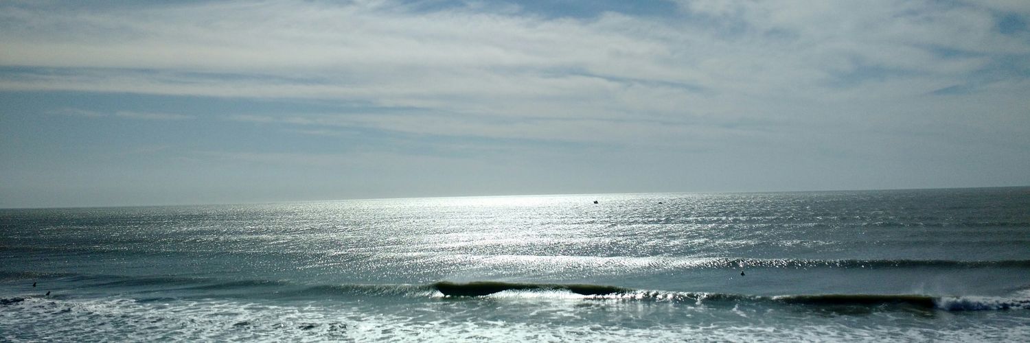 silvisco's profile banner image