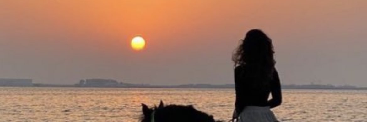 نوره☂ banner