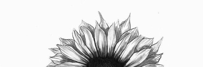 ntkjkd's profile banner image