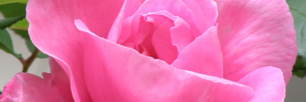 minta_kanagawa's profile banner image