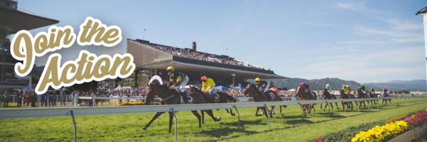 WgtnRacing Profile Banner