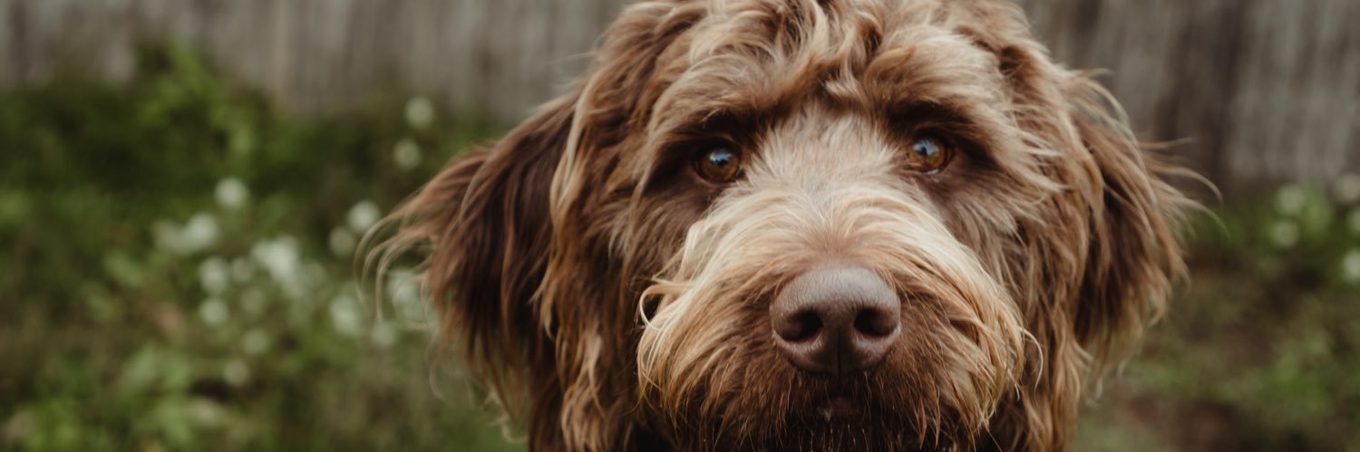 Taylor Keyworth banner