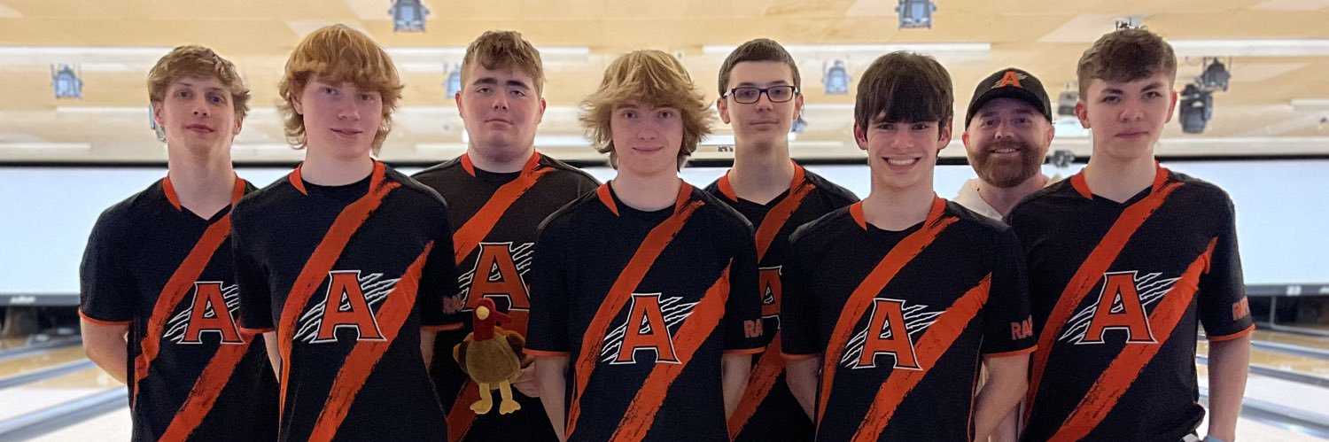 Alison Copley banner