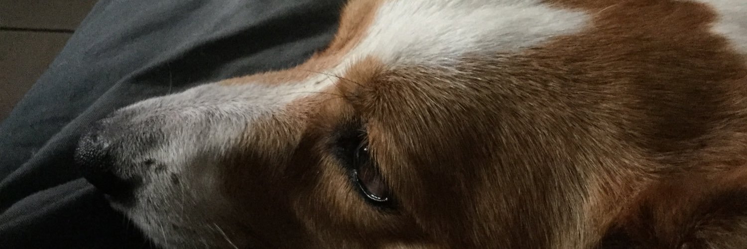 HsuanC's profile banner image