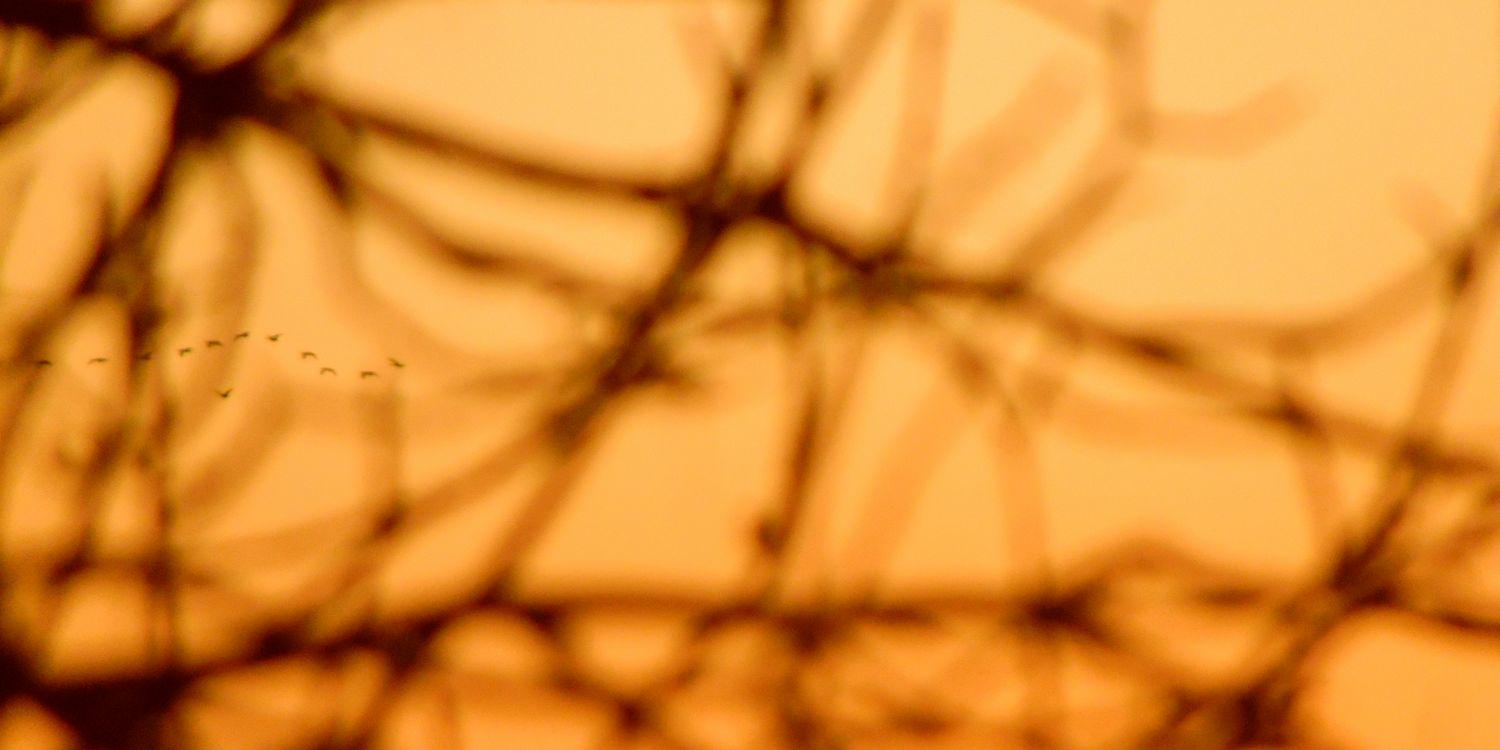 RuelasAlejandro's profile banner image