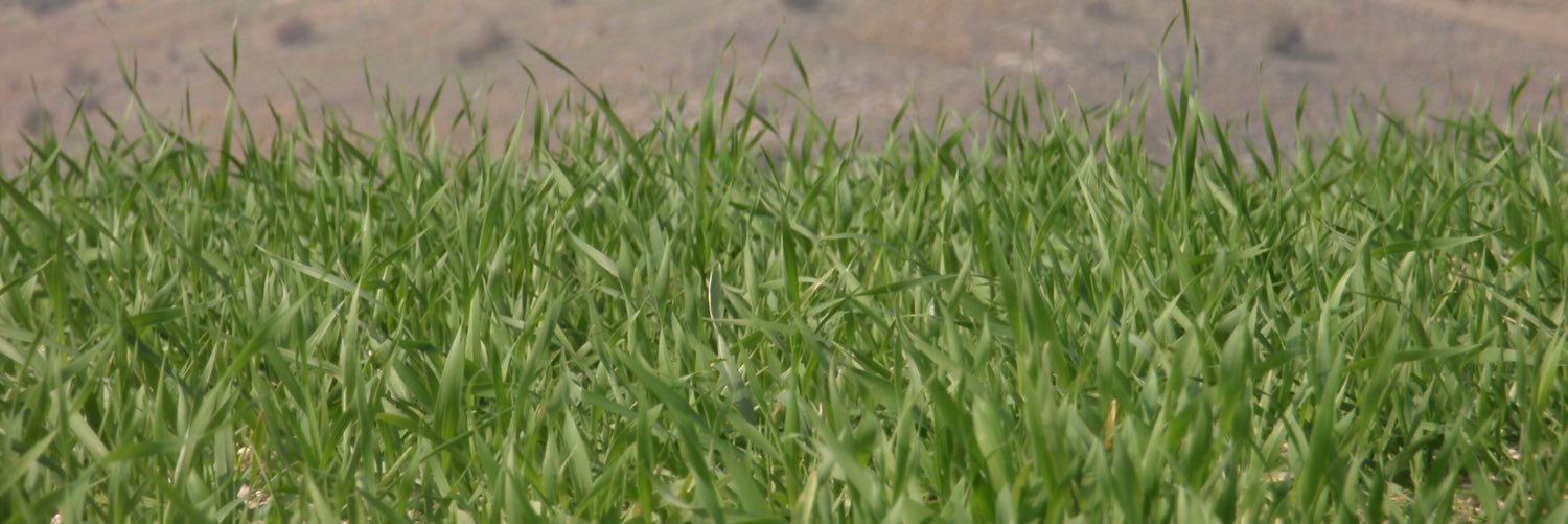JoeCerrone1's profile banner image