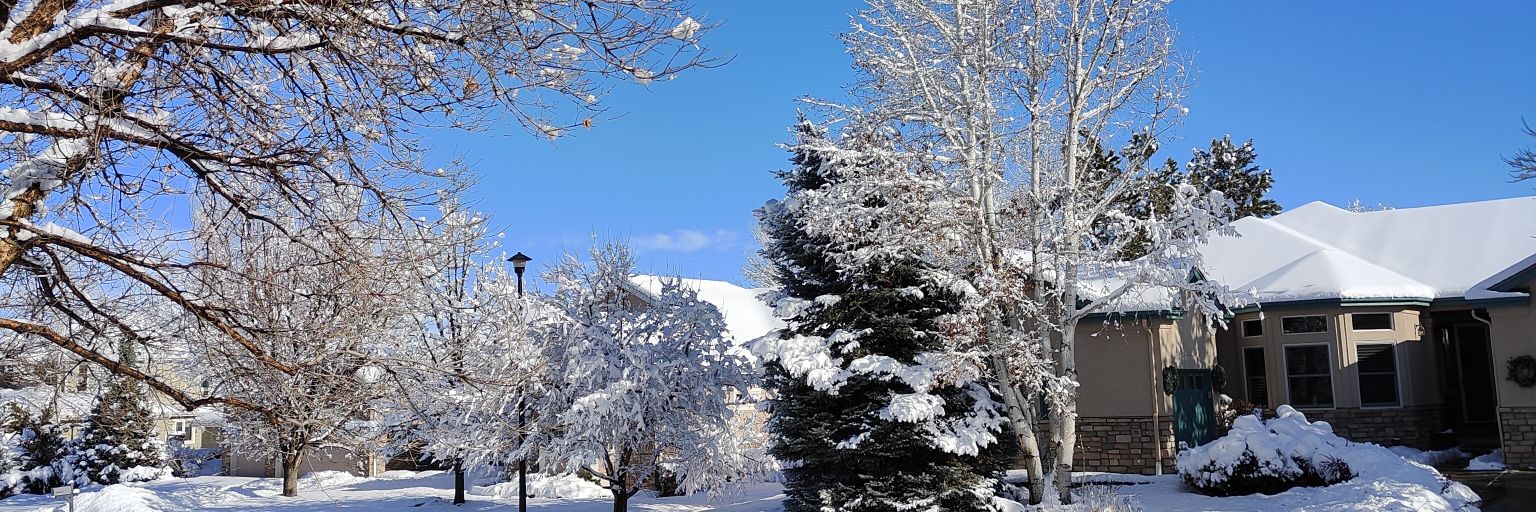 Erica S (she/her)🏳️‍⚧️🏳️‍🌈 banner