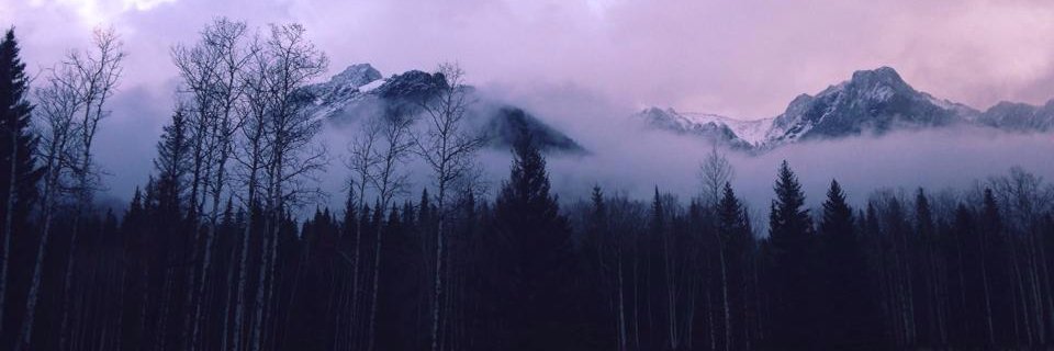 NayeViole's profile banner image