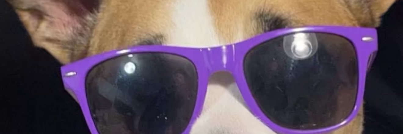StalderCorbin's profile banner image