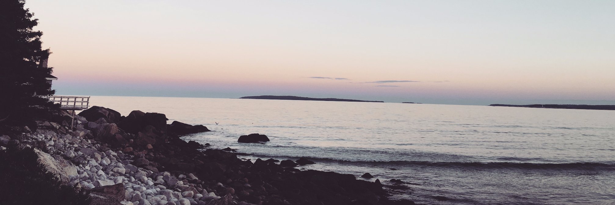 allisonpothier's profile banner image