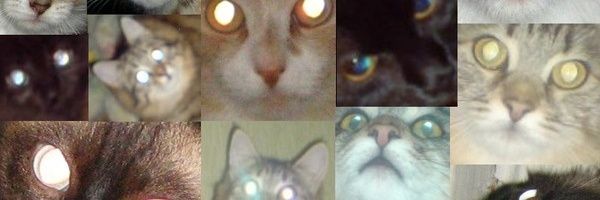 dsliite's profile banner image