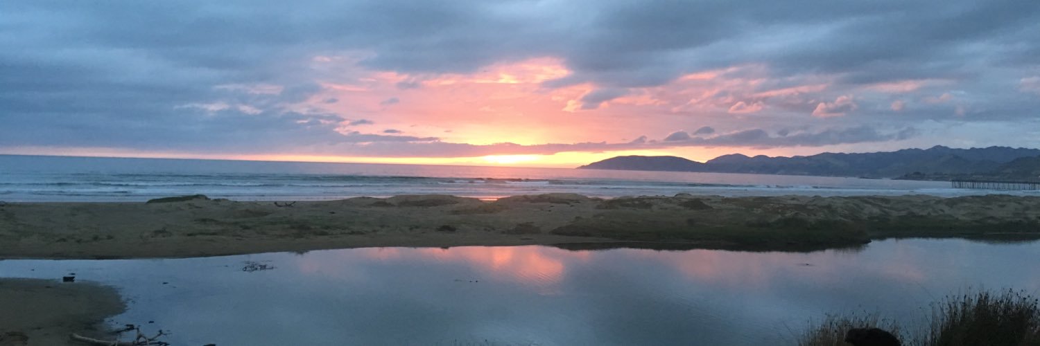 Christy Turner banner