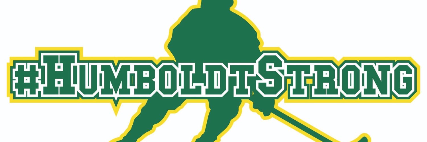 Bears Womens Hockey banner