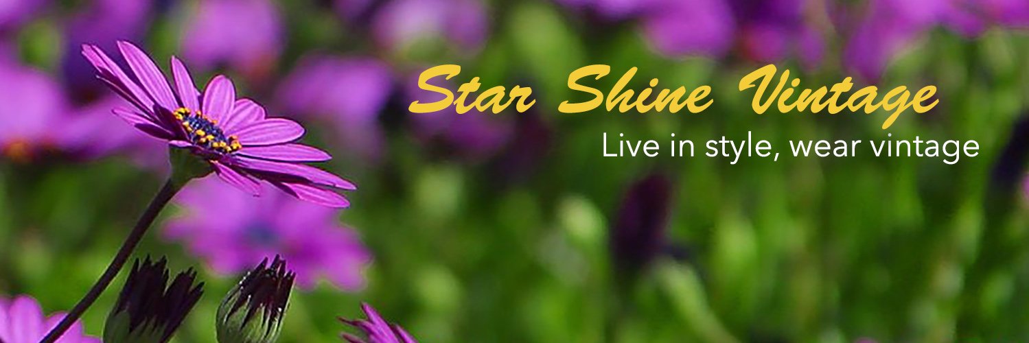 StarShineV's profile banner image