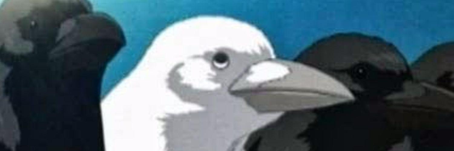 White Crow banner