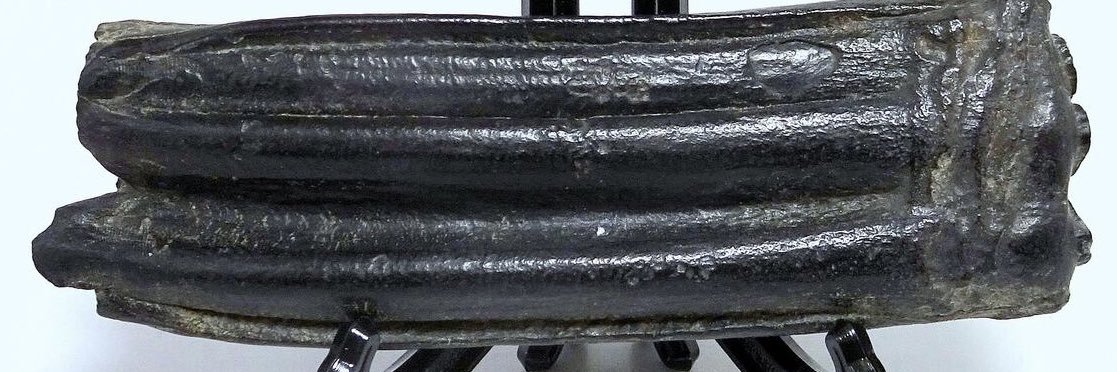 Jordan Shiveley banner