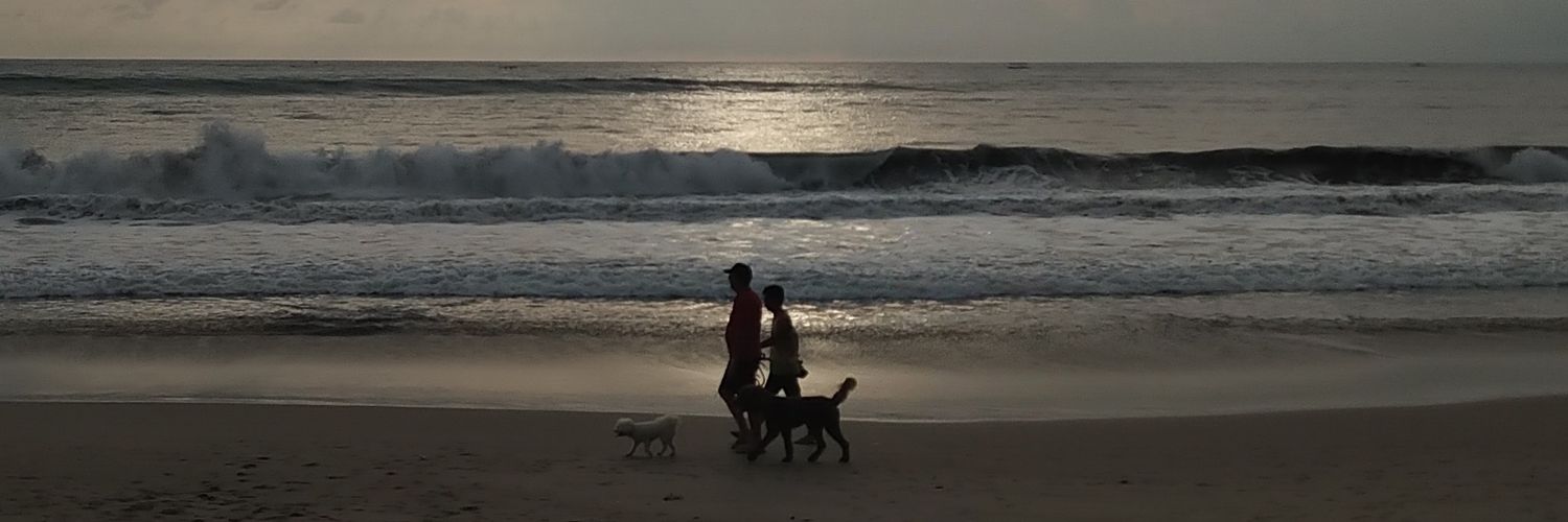 rbcajoy's profile banner image