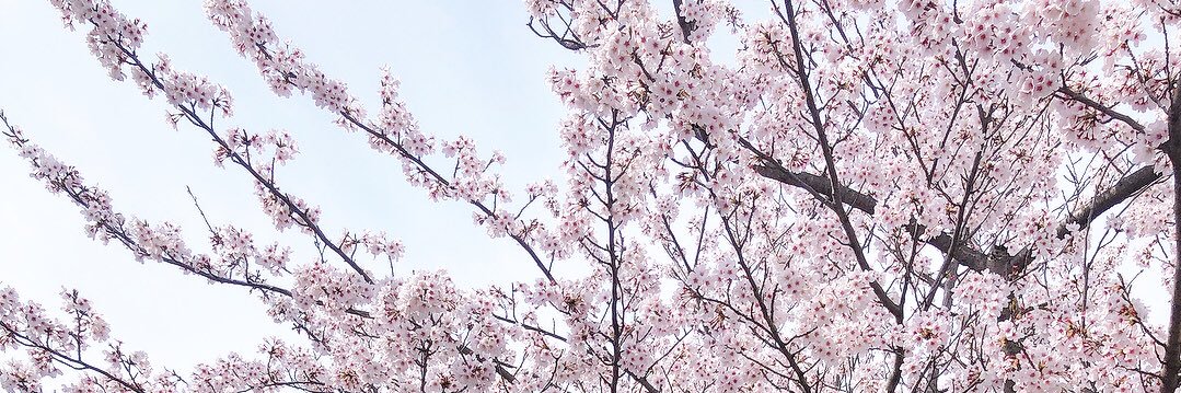 masami0708's profile banner image