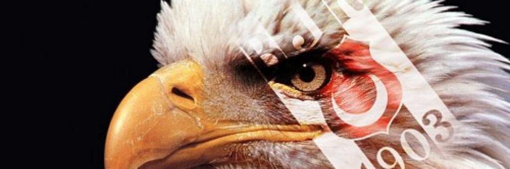serverarslann's profile banner image