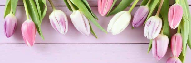 Andrea Musarte banner