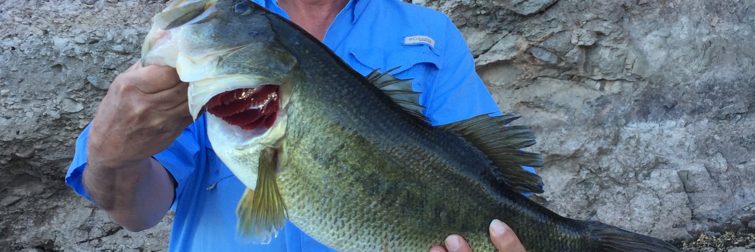 Bushmaster Dave banner