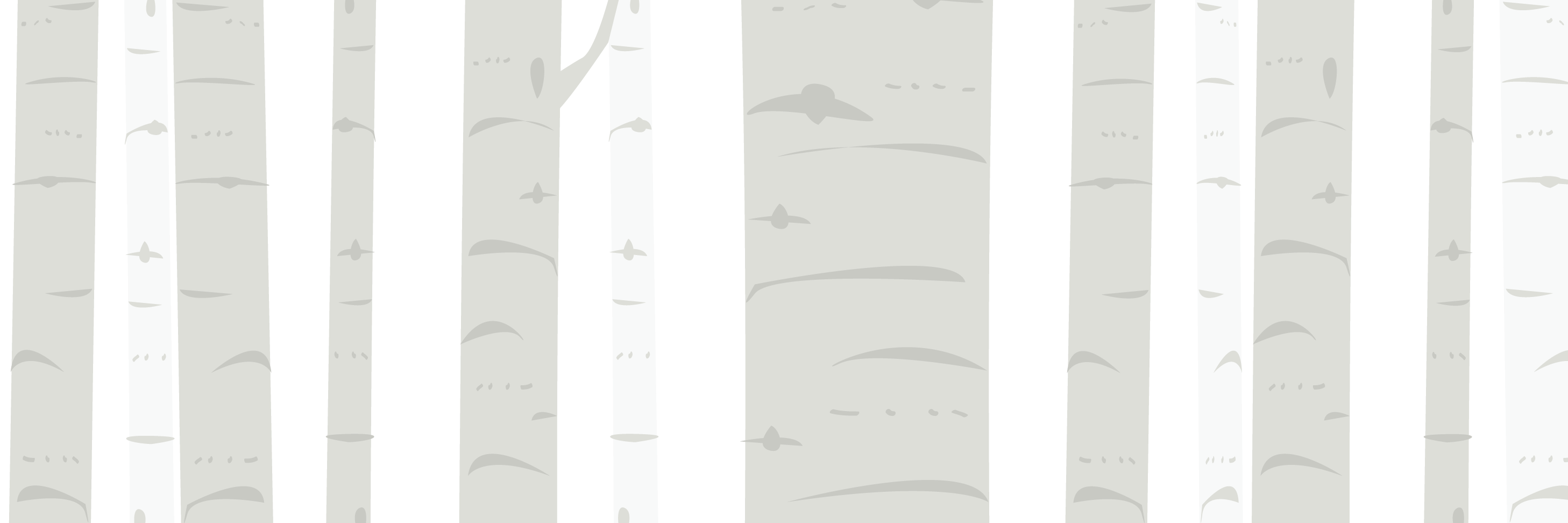 AspenPromise's profile banner image