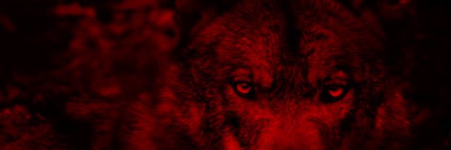 robertmcwilliy1's profile banner image