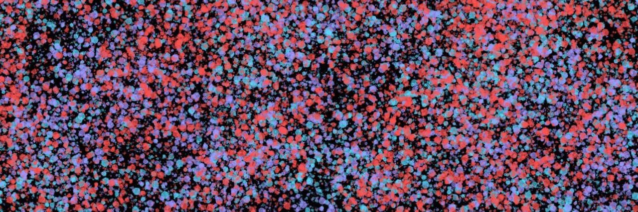 baitstertrade. banner