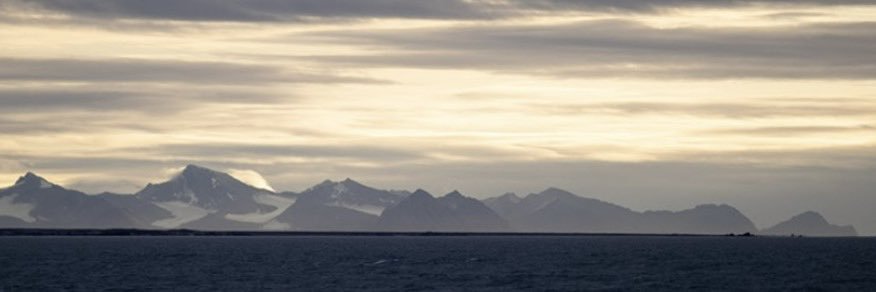 Inger Lise Næss banner