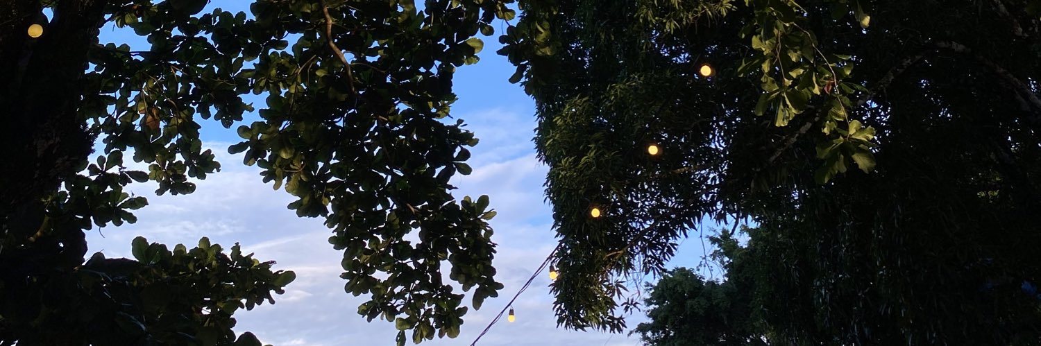 melmzc_'s profile banner image