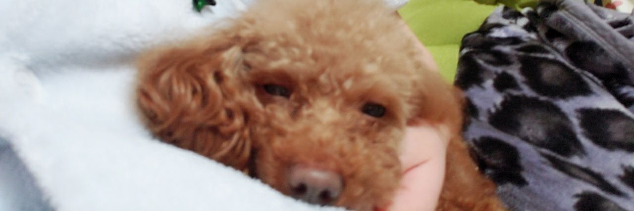 YYBxmer's profile banner image