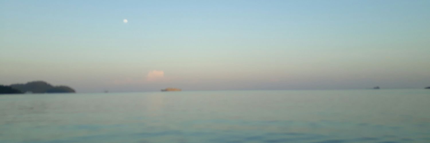 orya_cha's profile banner image