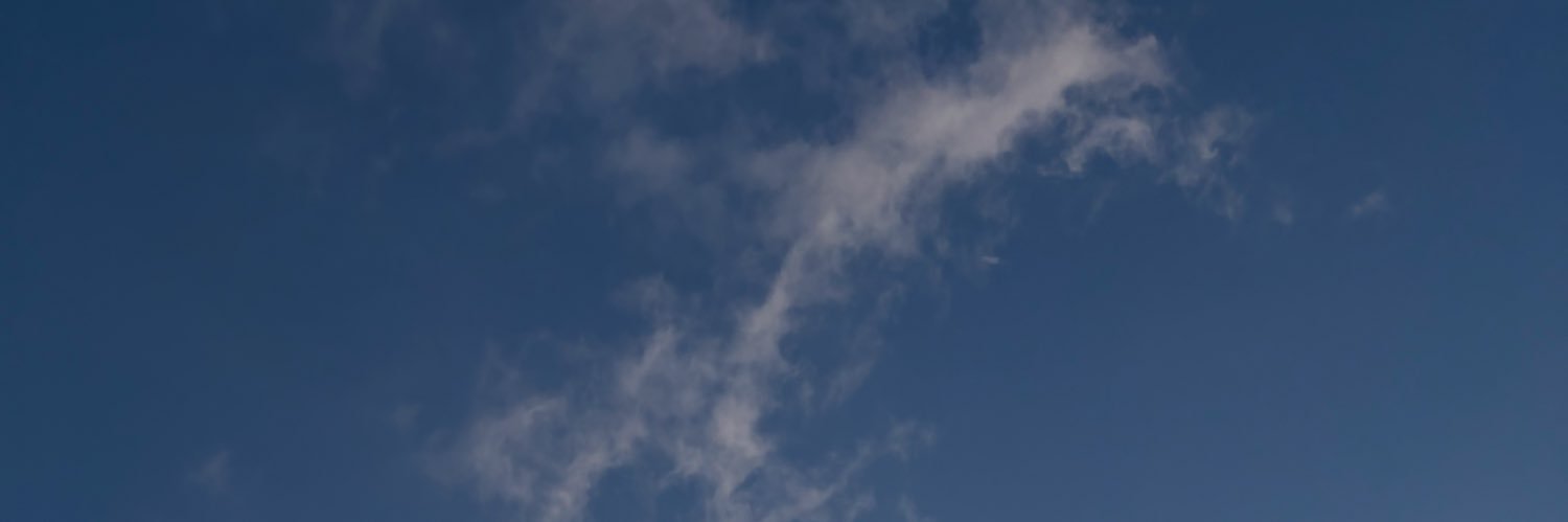 hamiponko's profile banner image
