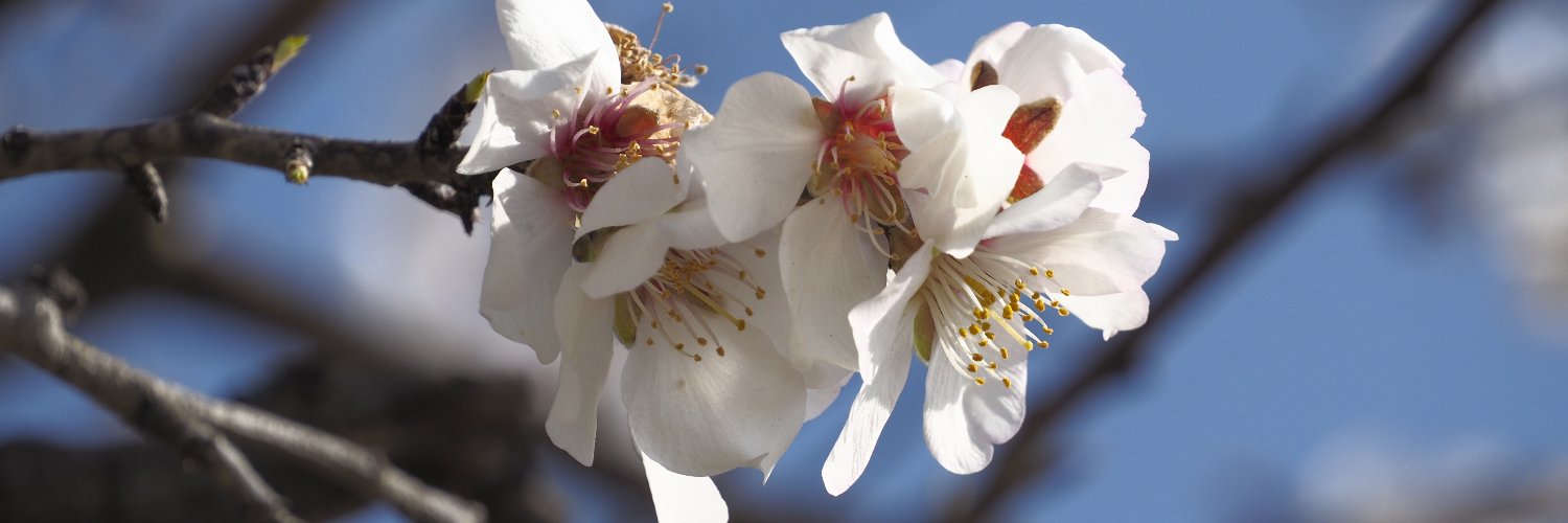 maribel ruda banner