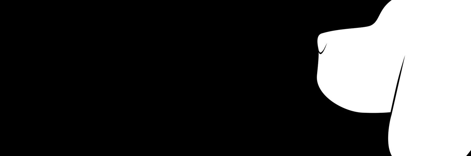 Ricardo Macagnan banner