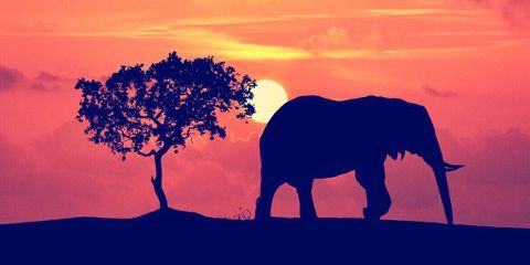 rswnrf53's profile banner image