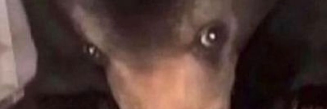 marcforbess's profile banner image