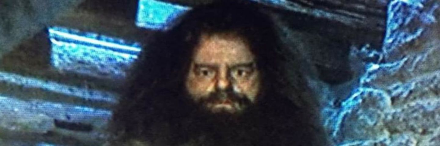 foolmarx's profile banner image